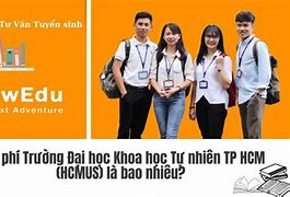 Học Bổng Ctdb Hcmus Là Bao Nhiêu Ngày Ạ Tiếng Anh Là Gì