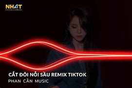 Nhạc Tiktok Hot Trend 2024