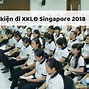 Xklđ Singapore 2022 Cần Điều Kiện Gì Không Ạ Ạ